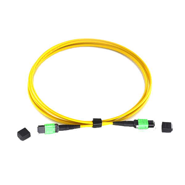 MTP/MPO Trunks
